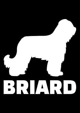 Briard