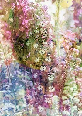 purple delphinium flower