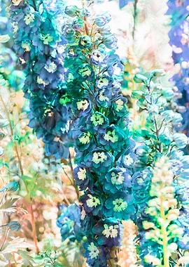 purple delphinium flower