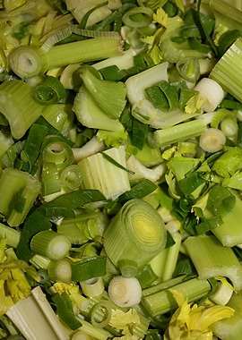 Anethum envidien lauch eat