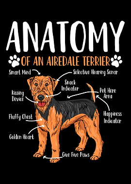 Airedale Terrier Dog Anato