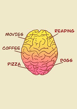 Funny Brain Diagram