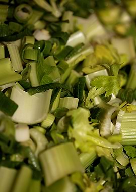 Anethum envidien lauch eat