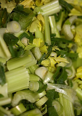 Anethum envidien lauch eat