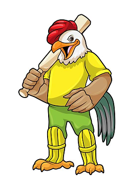 Rooster Sports Cricket bat