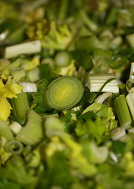 Anethum envidien lauch eat