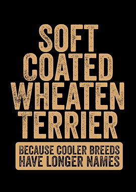 Soft Coated Wheaten