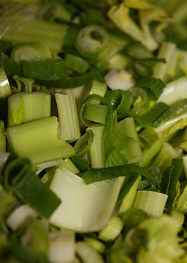 Anethum envidien lauch eat