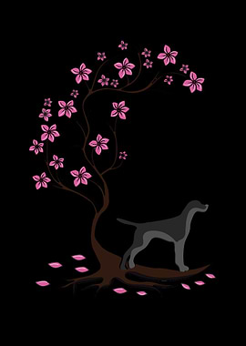 Cute German Shorthair