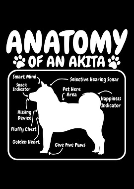 Akita Dog Anatomy