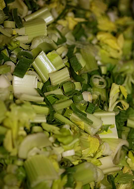 Anethum envidien lauch eat