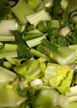 Anethum envidien lauch eat