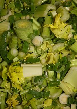 Anethum envidien lauch eat