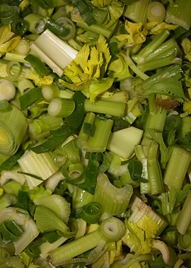 Anethum envidien lauch eat