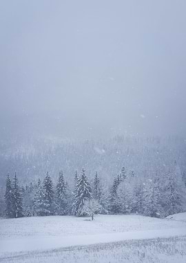 winter snowfall