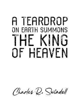 Charles R Swindoll Quote 9