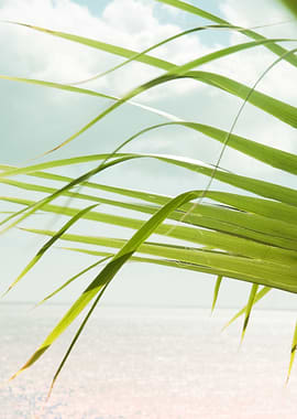 Tropical Palm Ocean View 1