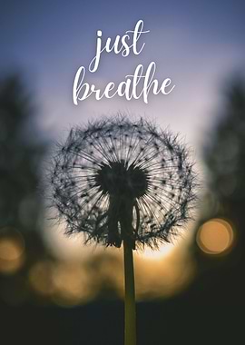 Just Breathe Dandelion