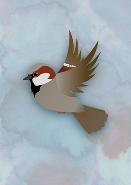 House sparrow flying