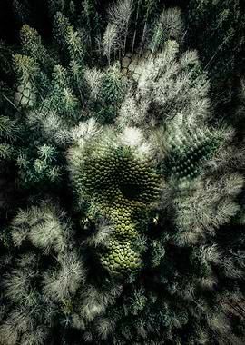 Green Snake