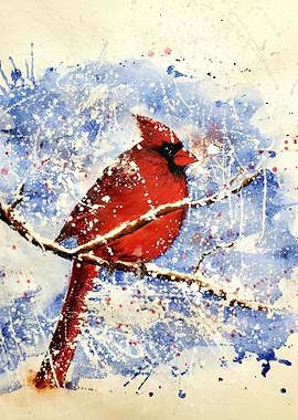 Cardinal in the snow