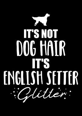 English Setter