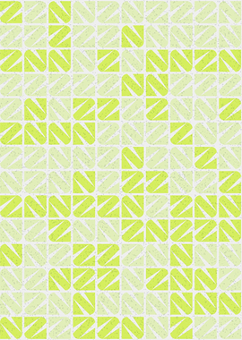 Geometric Pattern NZ