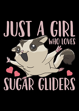 Sugar Glider Sugar Glider