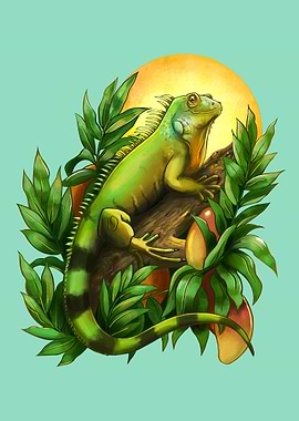 Green iguana