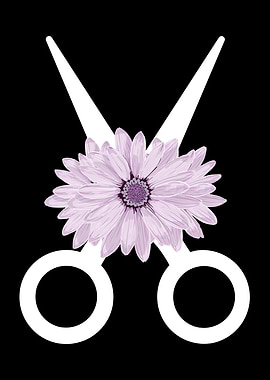 Hairdresser Hairstylist