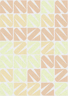 Geometric Pattern NZ