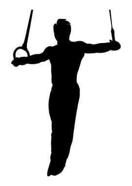 Gymnastics ring gift