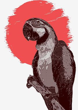 Macaw Parrot Polygon