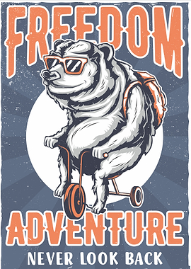 Freedom Adventure Setup