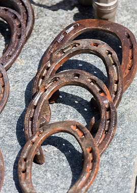 old horseshoe in the farm