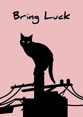 Bring Luck Black Cat