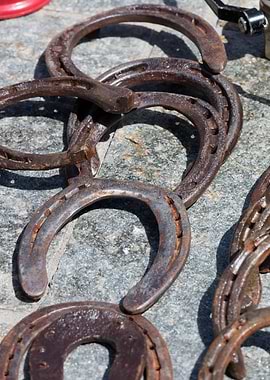 old horseshoe in the farm