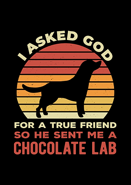 Funny Chocolate Lab