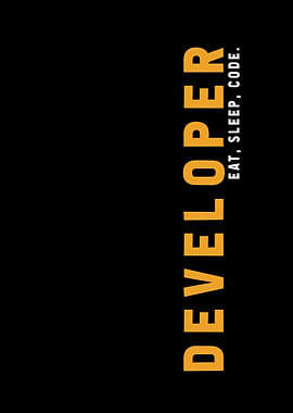 Programmer Developer