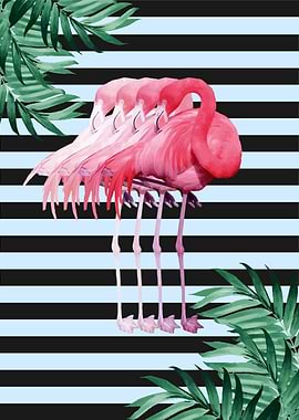 flamingo