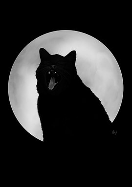 Full Moon Black Cat