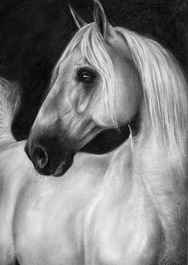 The Beauty of Silence