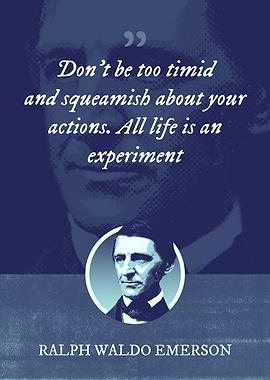 Dont be too timid and