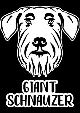 Giant Schnauzer