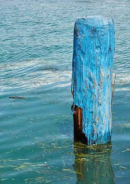 wooden mooring