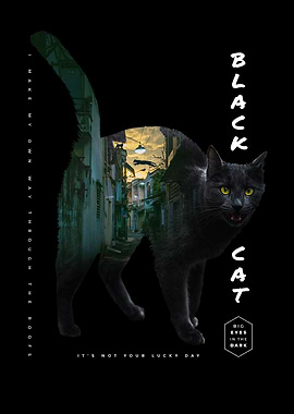 BLACK CAT ON THE ROOFS