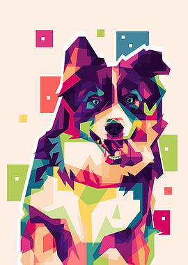 bernese mountain dog WPAP