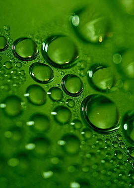Colorful water droplets