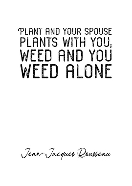 Jean Jacques Rousseau Q6