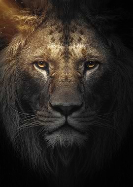 wild lion face portrait